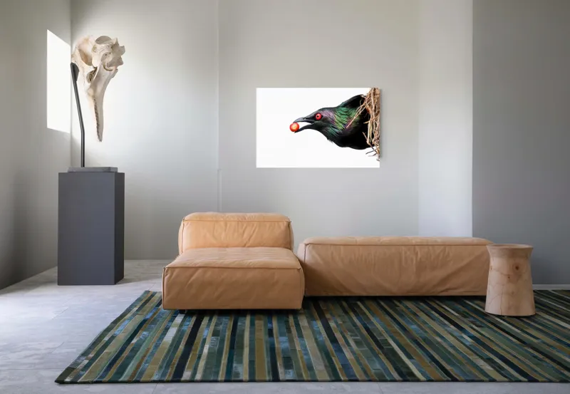 Tablou Canvas Pasăre irizantă roșie, art decor mural, 90 x 50 cm – poza 8