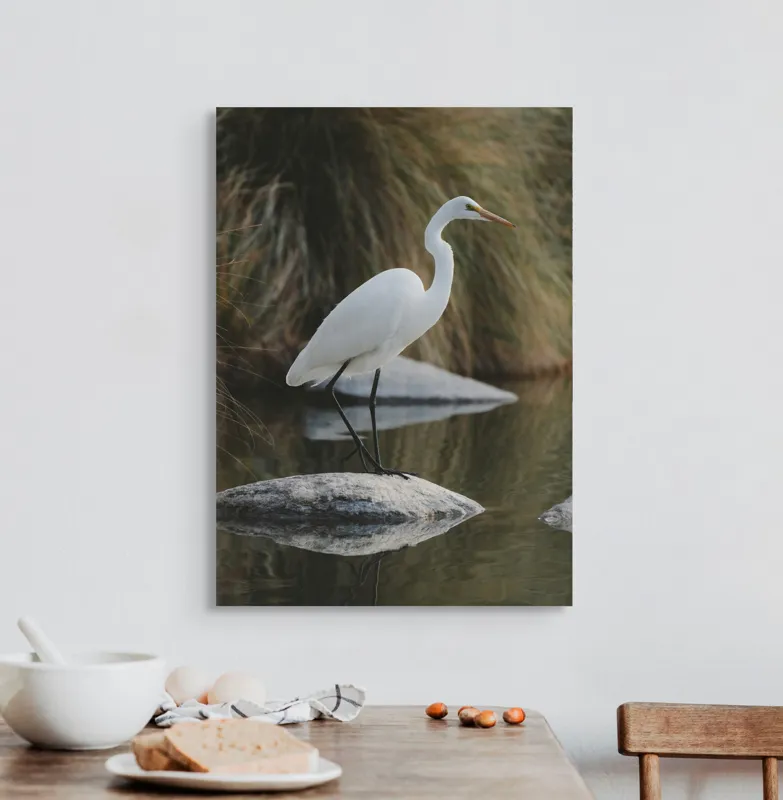 Tablou Canvas Egret Solitar pe Pietra Reflectantă Natură, 50 x 70 cm – poza 3