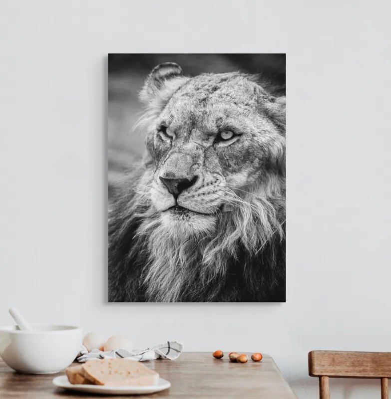 Tablou Canvas Leu Majestuos Regele Savanei Africane Artă Murală, 50 x 70 cm – poza 3