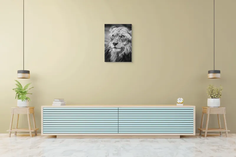 Tablou Canvas Leu Majestuos Regele Savanei Africane Artă Murală, 50 x 70 cm – poza 6