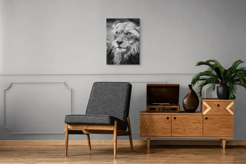 Tablou Canvas Leu Majestuos Regele Savanei Africane Artă Murală, 50 x 70 cm – poza 8