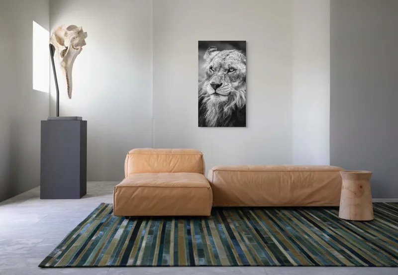 Tablou Canvas Leu Majestuos Regele Savanei Africane Artă Murală, 50 x 90 cm – poza 5