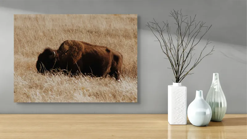 Tablou Canvas Bizon în Natură Sălbatică Pastel, 70 x 50 cm – poza 3