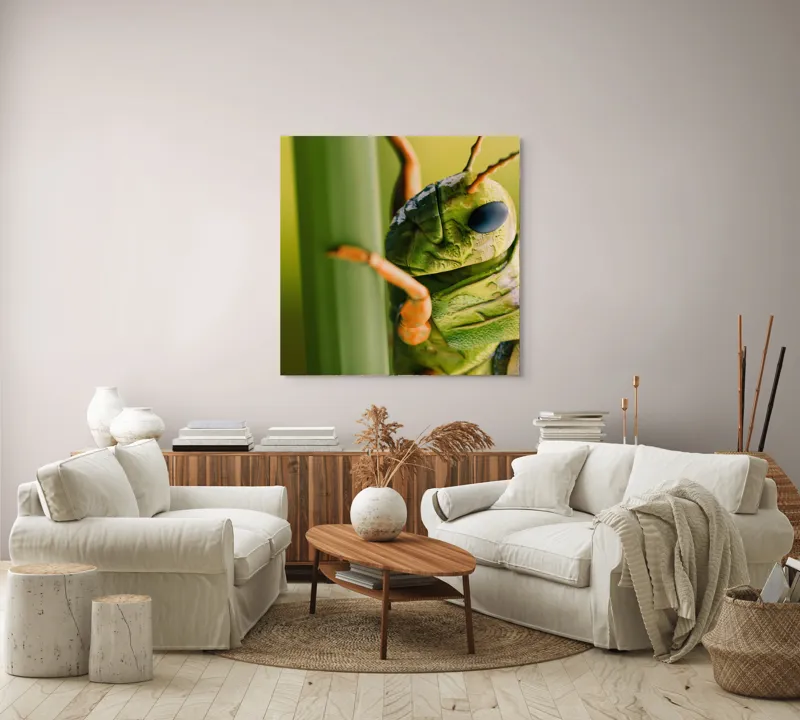 Tablou Canvas, "Lăcusta în prim-plan verde vibrant", Verde, Insectă, Ochii Mari, Antene, Frunză, Textură, Natură, Detaliu., 100 x 100 cm – poza 3