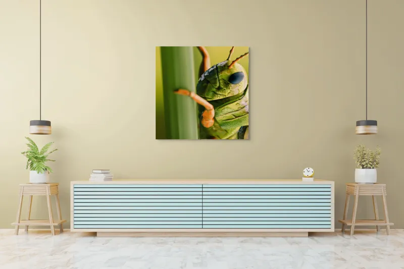 Tablou Canvas, "Lăcusta în prim-plan verde vibrant", Verde, Insectă, Ochii Mari, Antene, Frunză, Textură, Natură, Detaliu., 100 x 100 cm – poza 5