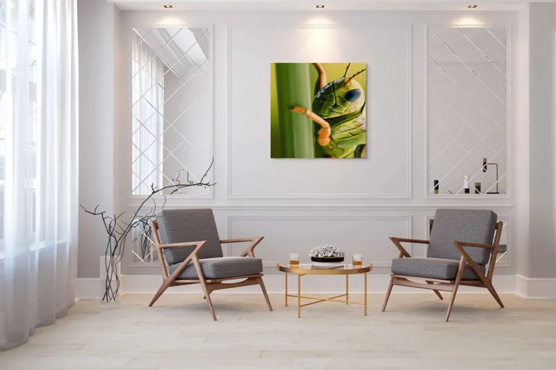Tablou Canvas, "Lăcusta în prim-plan verde vibrant", Verde, Insectă, Ochii Mari, Antene, Frunză, Textură, Natură, Detaliu., 100 x 100 cm – poza 7