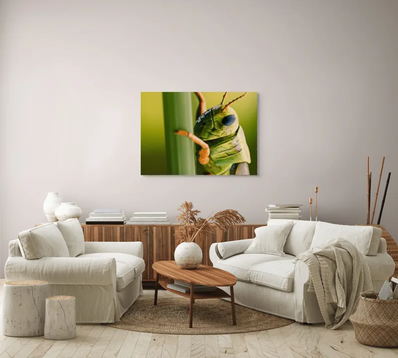 Tablou Canvas, "Lăcusta în prim-plan verde vibrant", Verde, Insectă, Ochii Mari, Antene, Frunză, Textură, Natură, Detaliu., 100 x 70 cm – poza 3