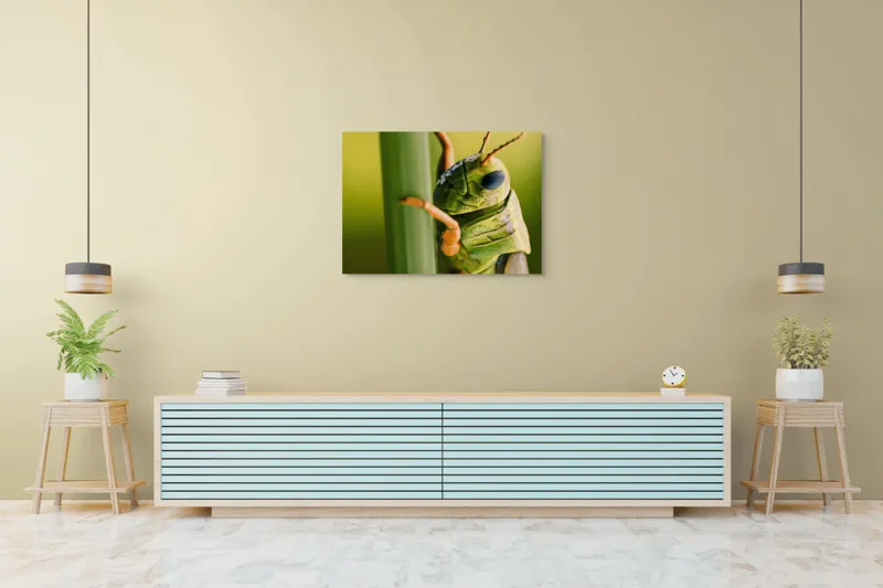 Tablou Canvas, "Lăcusta în prim-plan verde vibrant", Verde, Insectă, Ochii Mari, Antene, Frunză, Textură, Natură, Detaliu., 100 x 70 cm – poza 4