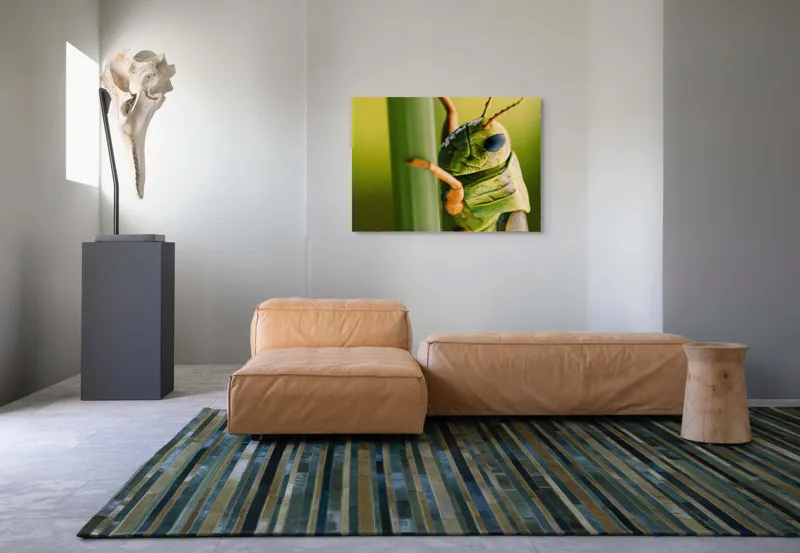 Tablou Canvas, "Lăcusta în prim-plan verde vibrant", Verde, Insectă, Ochii Mari, Antene, Frunză, Textură, Natură, Detaliu., 100 x 70 cm – poza 7