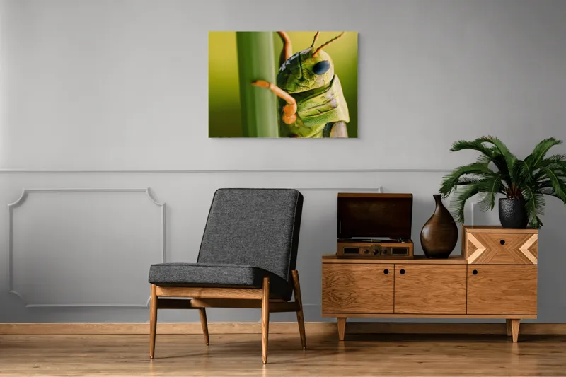 Tablou Canvas, "Lăcusta în prim-plan verde vibrant", Verde, Insectă, Ochii Mari, Antene, Frunză, Textură, Natură, Detaliu., 100 x 70 cm – poza 8