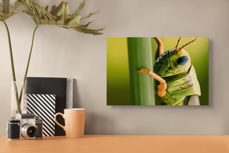Tablou Canvas, "Lăcusta în prim-plan verde vibrant", Verde, Insectă, Ochii Mari, Antene, Frunză, Textură, Natură, Detaliu., 39 x 26 cm – poza 3