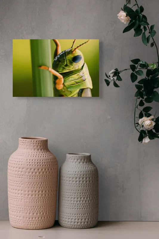 Tablou Canvas, "Lăcusta în prim-plan verde vibrant", Verde, Insectă, Ochii Mari, Antene, Frunză, Textură, Natură, Detaliu., 39 x 26 cm – poza 4