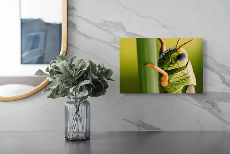 Tablou Canvas, "Lăcusta în prim-plan verde vibrant", Verde, Insectă, Ochii Mari, Antene, Frunză, Textură, Natură, Detaliu., 39 x 26 cm – poza 5
