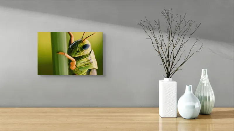 Tablou Canvas, "Lăcusta în prim-plan verde vibrant", Verde, Insectă, Ochii Mari, Antene, Frunză, Textură, Natură, Detaliu., 39 x 26 cm – poza 8