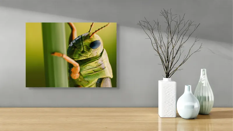 Tablou Canvas, "Lăcusta în prim-plan verde vibrant", Verde, Insectă, Ochii Mari, Antene, Frunză, Textură, Natură, Detaliu., 54 x 39 cm – poza 3