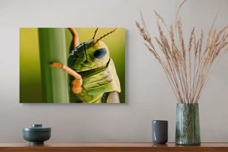 Tablou Canvas, "Lăcusta în prim-plan verde vibrant", Verde, Insectă, Ochii Mari, Antene, Frunză, Textură, Natură, Detaliu., 54 x 39 cm – poza 4
