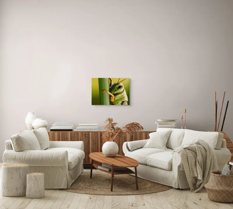Tablou Canvas, "Lăcusta în prim-plan verde vibrant", Verde, Insectă, Ochii Mari, Antene, Frunză, Textură, Natură, Detaliu., 54 x 39 cm – poza 5