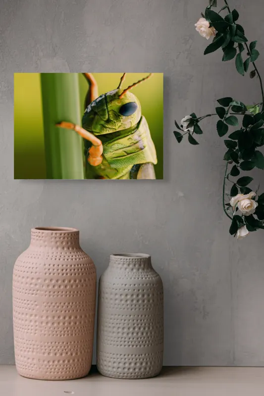 Tablou Canvas, "Lăcusta în prim-plan verde vibrant", Verde, Insectă, Ochii Mari, Antene, Frunză, Textură, Natură, Detaliu., 54 x 39 cm – poza 8