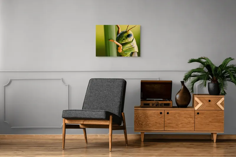 Tablou Canvas, "Lăcusta în prim-plan verde vibrant", Verde, Insectă, Ochii Mari, Antene, Frunză, Textură, Natură, Detaliu., 70 x 50 cm – poza 4