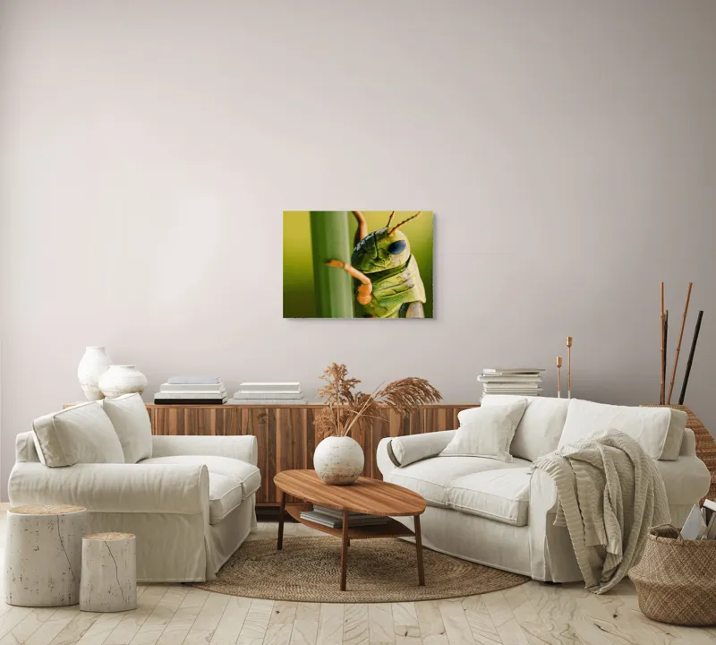 Tablou Canvas, "Lăcusta în prim-plan verde vibrant", Verde, Insectă, Ochii Mari, Antene, Frunză, Textură, Natură, Detaliu., 70 x 50 cm – poza 6