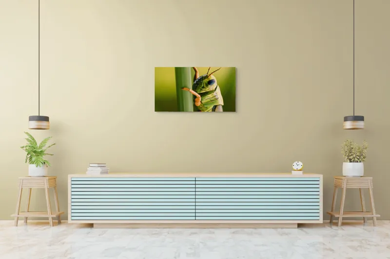 Tablou Canvas, "Lăcusta în prim-plan verde vibrant", Verde, Insectă, Ochii Mari, Antene, Frunză, Textură, Natură, Detaliu., 90 x 50 cm – poza 5