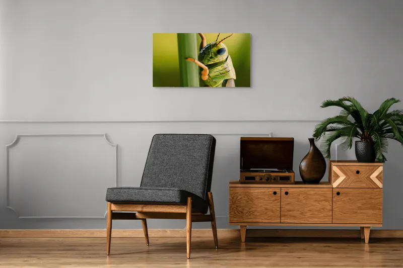 Tablou Canvas, "Lăcusta în prim-plan verde vibrant", Verde, Insectă, Ochii Mari, Antene, Frunză, Textură, Natură, Detaliu., 90 x 50 cm – poza 6