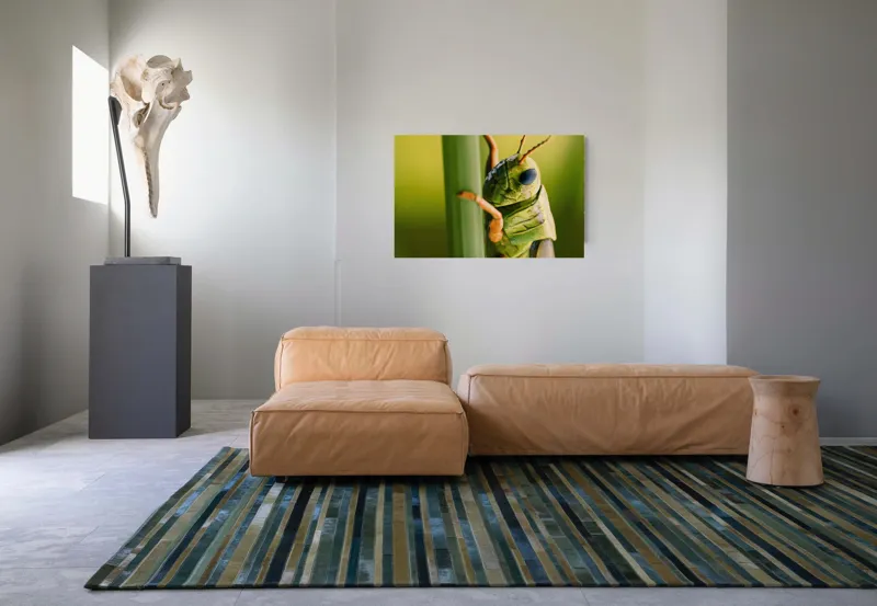 Tablou Canvas, "Lăcusta în prim-plan verde vibrant", Verde, Insectă, Ochii Mari, Antene, Frunză, Textură, Natură, Detaliu., 90 x 50 cm – poza 8