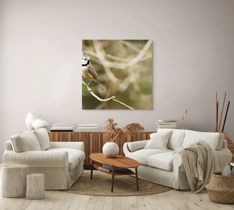 Tablou Canvas, "Păsăruica sprințară pe ramură uscată", Pasăre, Creastă, Creangă, Pene, Natură, Delicatețe, Observație, Ochii, Plutire, Echilibru, 100 x 100 cm – poza 3