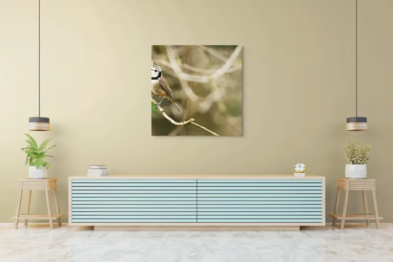 Tablou Canvas, "Păsăruica sprințară pe ramură uscată", Pasăre, Creastă, Creangă, Pene, Natură, Delicatețe, Observație, Ochii, Plutire, Echilibru, 100 x 100 cm – poza 5