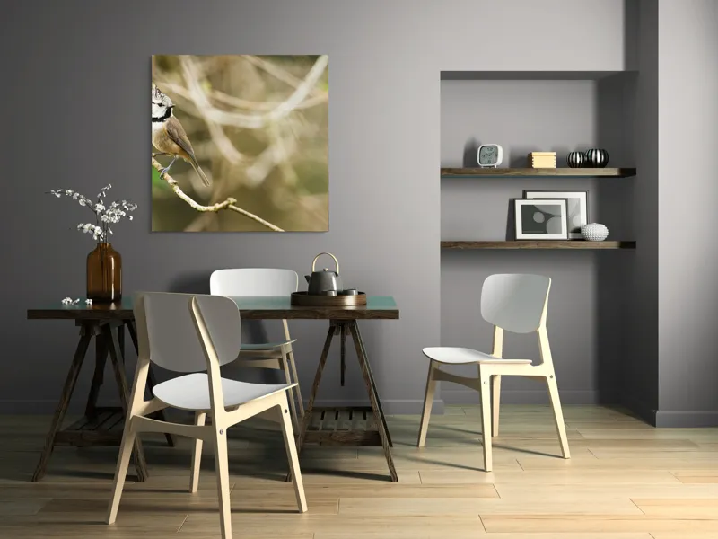 Tablou Canvas, "Păsăruica sprințară pe ramură uscată", Pasăre, Creastă, Creangă, Pene, Natură, Delicatețe, Observație, Ochii, Plutire, Echilibru, 100 x 100 cm – poza 6