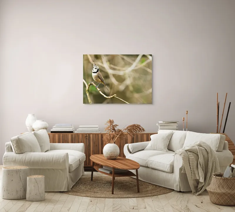 Tablou Canvas, "Păsăruica sprințară pe ramură uscată", Pasăre, Creastă, Creangă, Pene, Natură, Delicatețe, Observație, Ochii, Plutire, Echilibru, 100 x 70 cm – poza 3