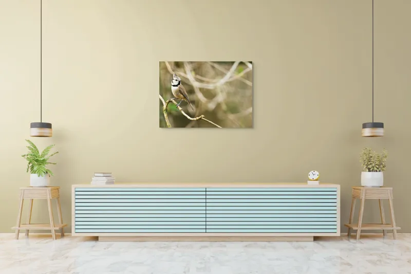 Tablou Canvas, "Păsăruica sprințară pe ramură uscată", Pasăre, Creastă, Creangă, Pene, Natură, Delicatețe, Observație, Ochii, Plutire, Echilibru, 100 x 70 cm – poza 4