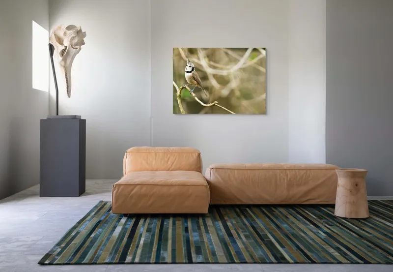 Tablou Canvas, "Păsăruica sprințară pe ramură uscată", Pasăre, Creastă, Creangă, Pene, Natură, Delicatețe, Observație, Ochii, Plutire, Echilibru, 100 x 70 cm – poza 7