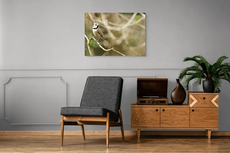 Tablou Canvas, "Păsăruica sprințară pe ramură uscată", Pasăre, Creastă, Creangă, Pene, Natură, Delicatețe, Observație, Ochii, Plutire, Echilibru, 100 x 70 cm – poza 8