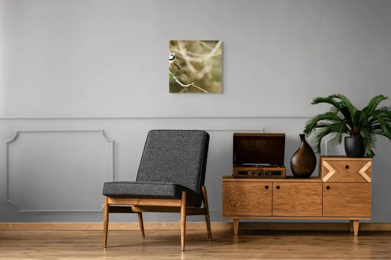 Tablou Canvas, "Păsăruica sprințară pe ramură uscată", Pasăre, Creastă, Creangă, Pene, Natură, Delicatețe, Observație, Ochii, Plutire, Echilibru, 50 x 50 cm – poza 6