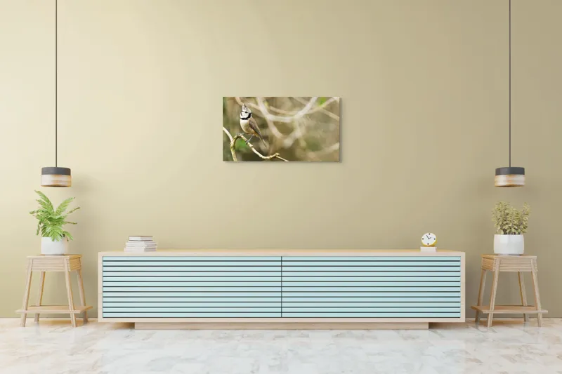 Tablou Canvas, "Păsăruica sprințară pe ramură uscată", Pasăre, Creastă, Creangă, Pene, Natură, Delicatețe, Observație, Ochii, Plutire, Echilibru, 90 x 50 cm – poza 5