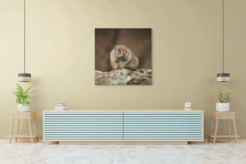 Tablou Canvas, "Mic rozător pe piatră rece", Marmotă, Blană, Stâncă, Natură, Calm, Observare, Curiozitate, Pădure., 100 x 100 cm – poza 5