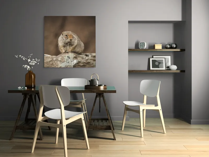 Tablou Canvas, "Mic rozător pe piatră rece", Marmotă, Blană, Stâncă, Natură, Calm, Observare, Curiozitate, Pădure., 100 x 100 cm – poza 6