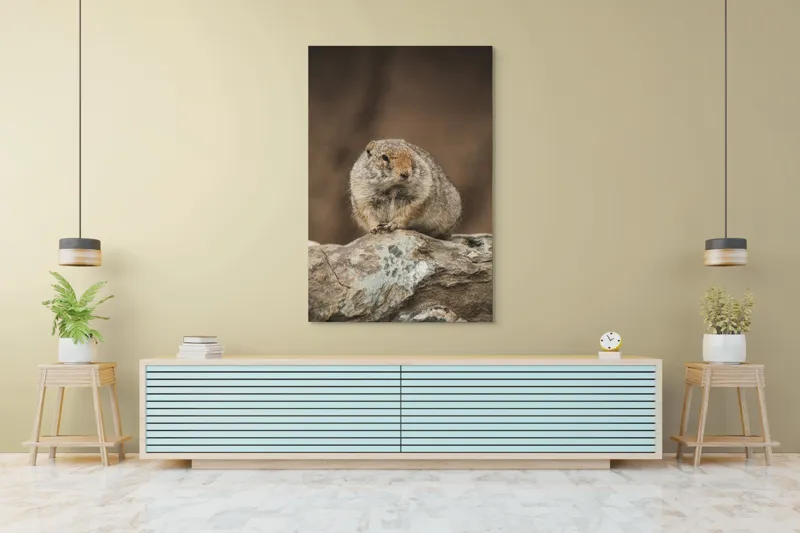 Tablou Canvas, "Mic rozător pe piatră rece", Marmotă, Blană, Stâncă, Natură, Calm, Observare, Curiozitate, Pădure., 100 x 150 cm – poza 4