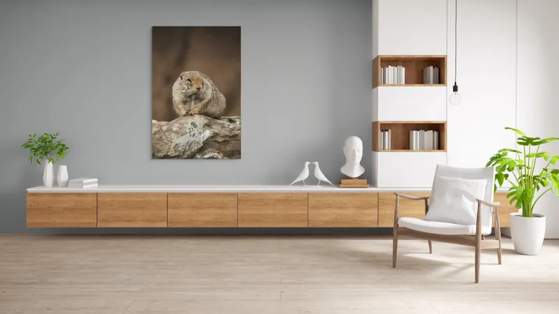 Tablou Canvas, "Mic rozător pe piatră rece", Marmotă, Blană, Stâncă, Natură, Calm, Observare, Curiozitate, Pădure., 100 x 150 cm – poza 8