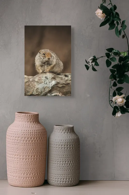 Tablou Canvas, "Mic rozător pe piatră rece", Marmotă, Blană, Stâncă, Natură, Calm, Observare, Curiozitate, Pădure., 26 x 39 cm – poza 6