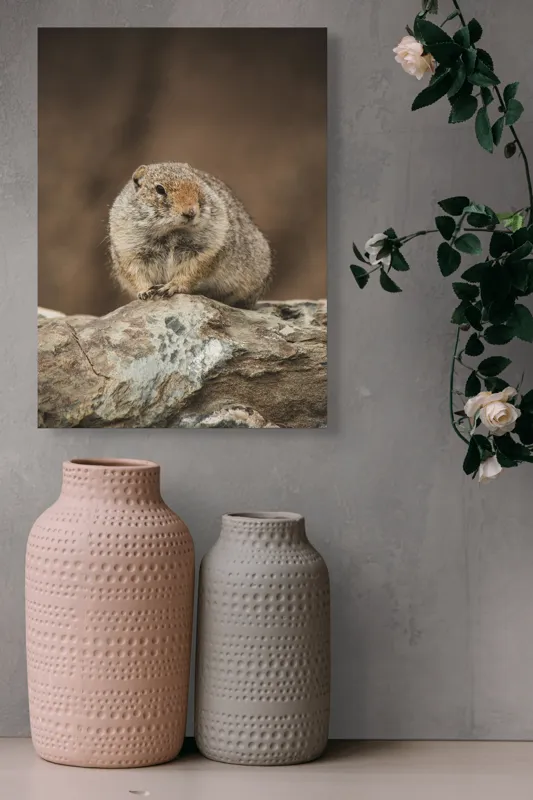 Tablou Canvas, "Mic rozător pe piatră rece", Marmotă, Blană, Stâncă, Natură, Calm, Observare, Curiozitate, Pădure., 39 x 54 cm – poza 6