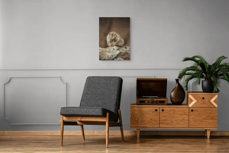 Tablou Canvas, "Mic rozător pe piatră rece", Marmotă, Blană, Stâncă, Natură, Calm, Observare, Curiozitate, Pădure., 50 x 70 cm – poza 8