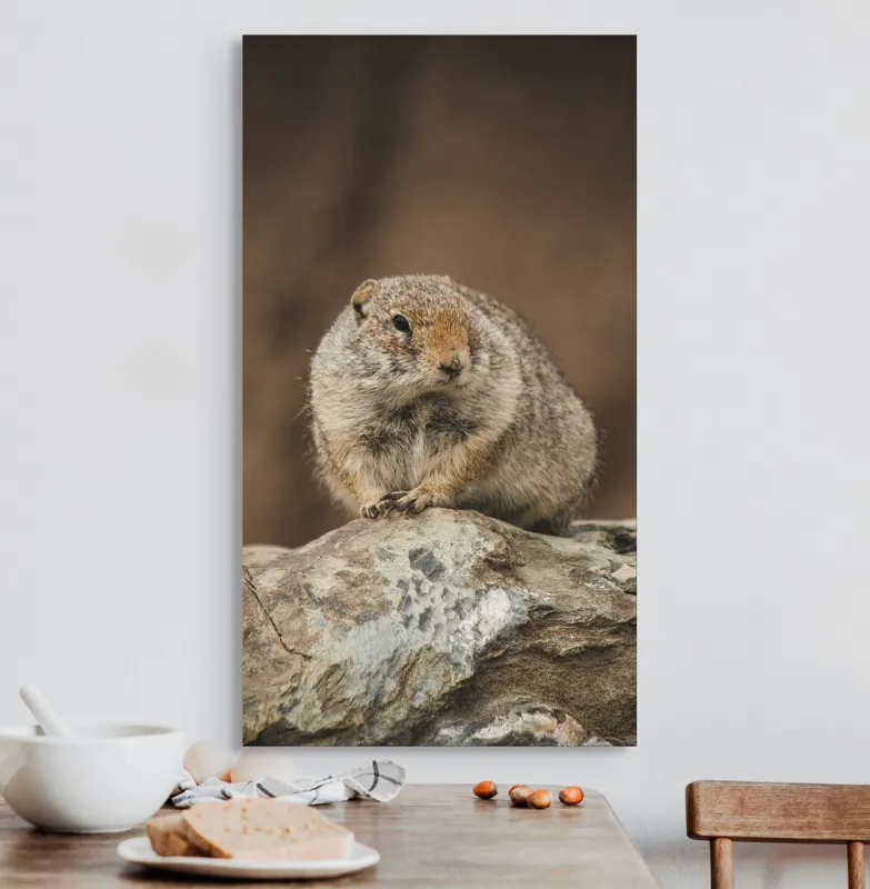 Tablou Canvas, "Mic rozător pe piatră rece", Marmotă, Blană, Stâncă, Natură, Calm, Observare, Curiozitate, Pădure., 50 x 90 cm – poza 3