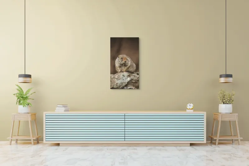 Tablou Canvas, "Mic rozător pe piatră rece", Marmotă, Blană, Stâncă, Natură, Calm, Observare, Curiozitate, Pădure., 50 x 90 cm – poza 6