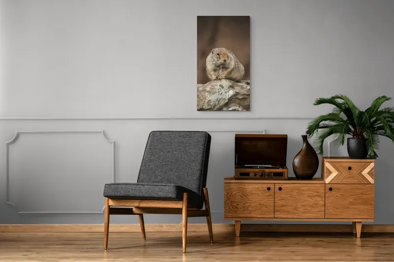 Tablou Canvas, "Mic rozător pe piatră rece", Marmotă, Blană, Stâncă, Natură, Calm, Observare, Curiozitate, Pădure., 50 x 90 cm – poza 8