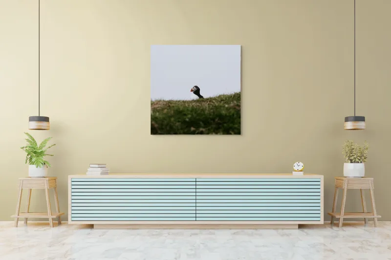 Tablou Canvas, "Papagal de mare pe câmp verde", Pasăre, Pămătuf, Pene, Gazon, Cer, Natură, Solitudine, Contrast., 100 x 100 cm – poza 5