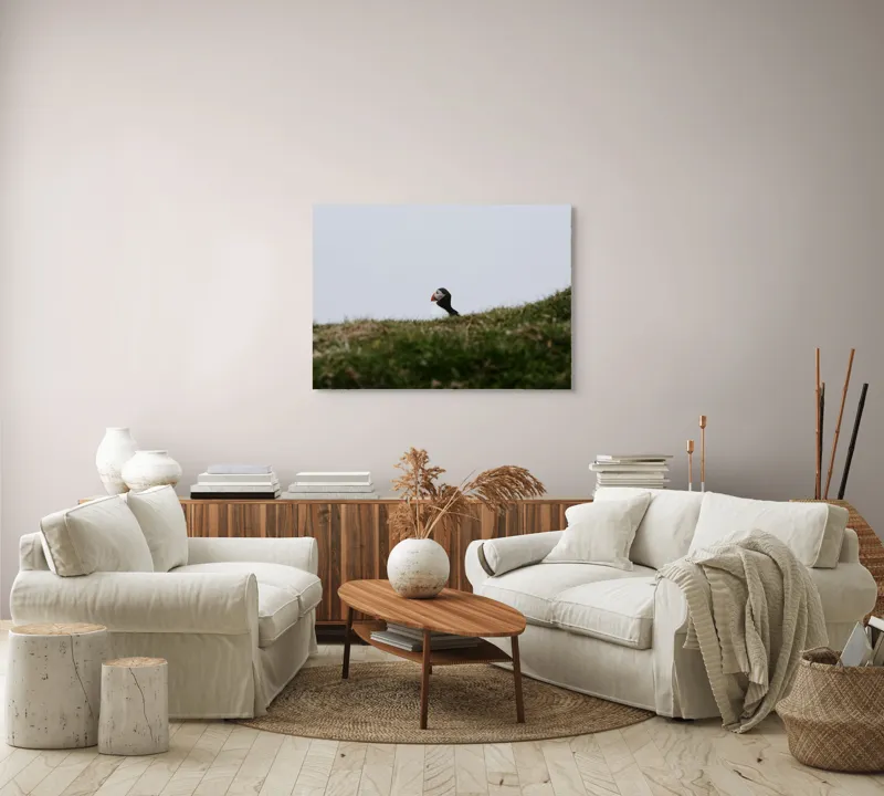Tablou Canvas, "Papagal de mare pe câmp verde", Pasăre, Pămătuf, Pene, Gazon, Cer, Natură, Solitudine, Contrast., 100 x 70 cm – poza 3