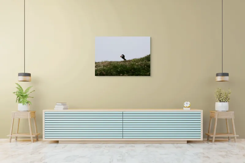 Tablou Canvas, "Papagal de mare pe câmp verde", Pasăre, Pămătuf, Pene, Gazon, Cer, Natură, Solitudine, Contrast., 100 x 70 cm – poza 4