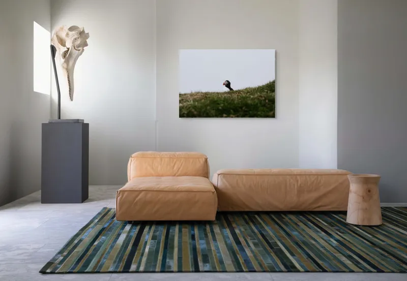 Tablou Canvas, "Papagal de mare pe câmp verde", Pasăre, Pămătuf, Pene, Gazon, Cer, Natură, Solitudine, Contrast., 100 x 70 cm – poza 7